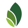 Amara Lab